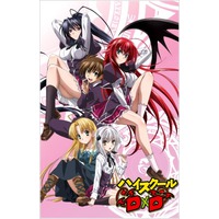 High School DxD Image