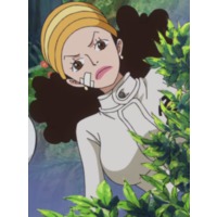 One Piece Series All Characters Anime Characters Database